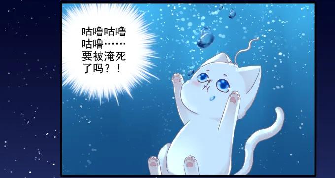 《猫妖的诱惑》迷之色诱 第48页