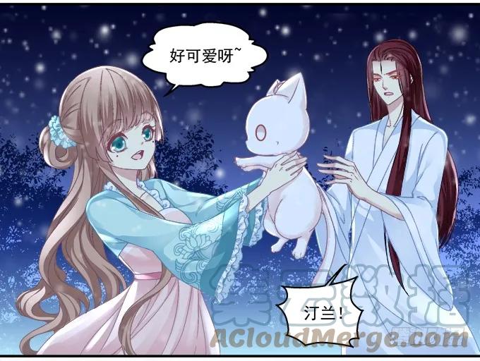 《猫妖的诱惑》是谁撩谁 第43页