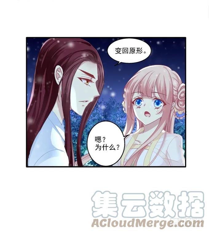 《猫妖的诱惑》是谁撩谁 第31页