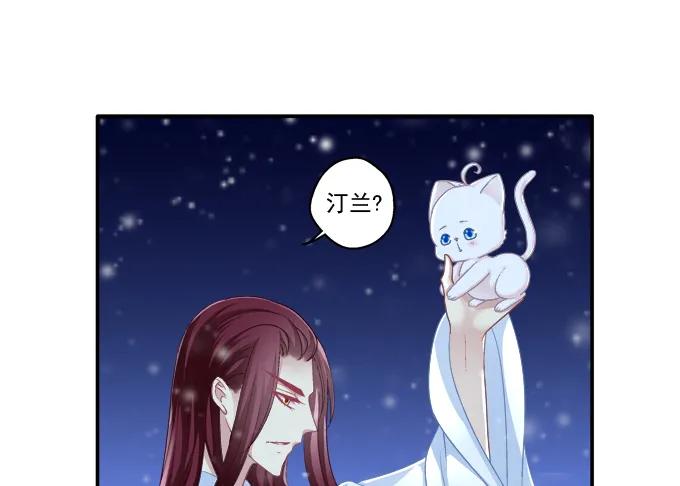 《猫妖的诱惑》是谁撩谁 第38页