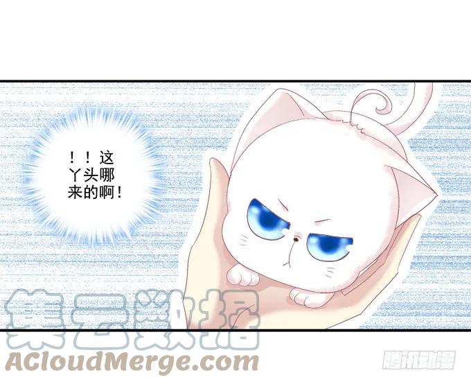 《猫妖的诱惑》是谁撩谁 第40页