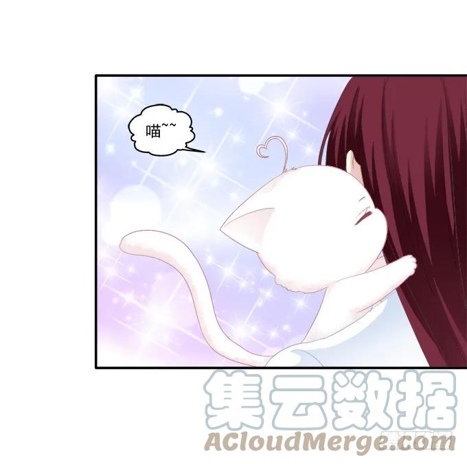 《猫妖的诱惑》盛装出席 第34页