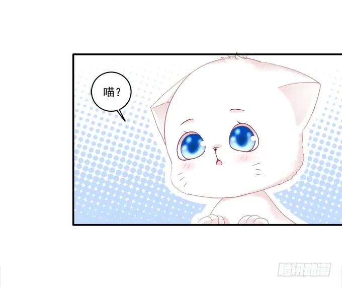 《猫妖的诱惑》盛装出席 第36页