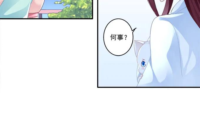 《猫妖的诱惑》盛装出席 第18页