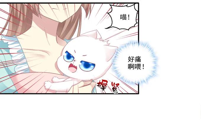 《猫妖的诱惑》盛装出席 第9页