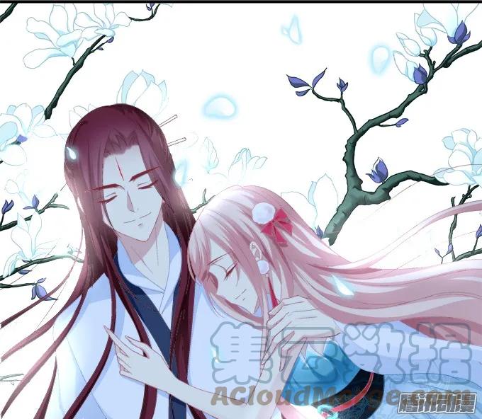 《猫妖的诱惑》又见妖王 2 第1页