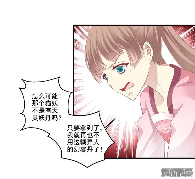 《猫妖的诱惑》又见妖王 2 第15页