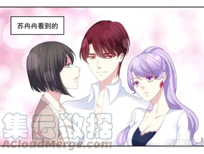 《猫妖的诱惑》前世的相遇 第7页