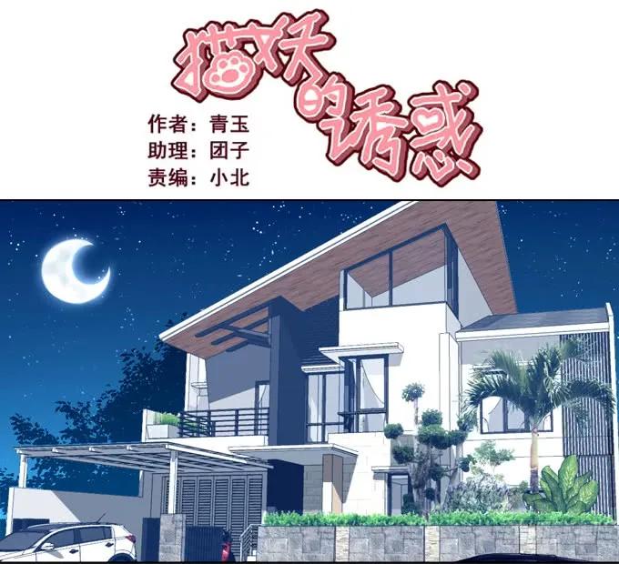 《猫妖的诱惑》前世的相遇 第2页