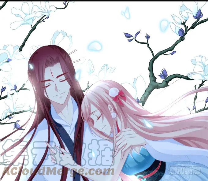 《猫妖的诱惑》暗箭伤人 第1页