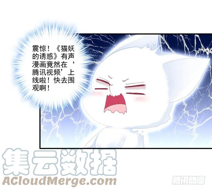 《猫妖的诱惑》谁非礼谁 第52页