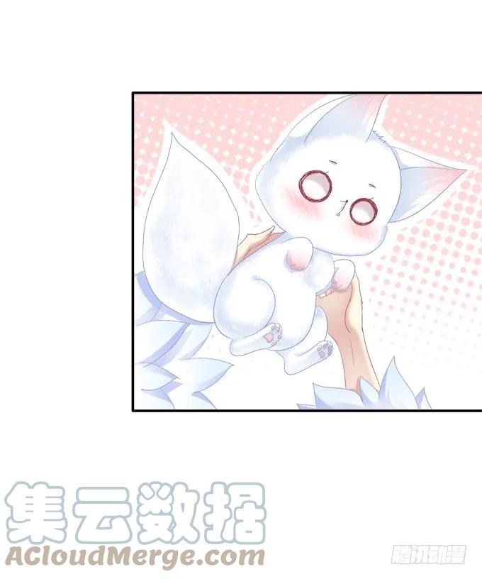 《猫妖的诱惑》谁非礼谁 第25页