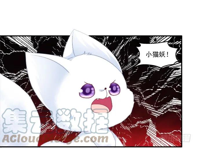 《猫妖的诱惑》英狐救喵？ 第40页