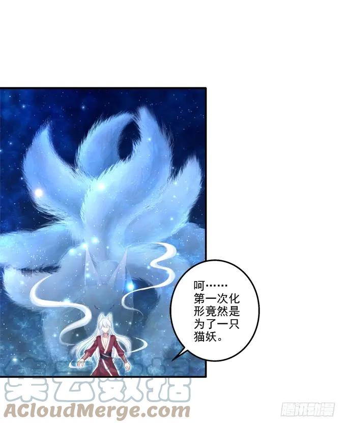 《猫妖的诱惑》狐的守护 第13页