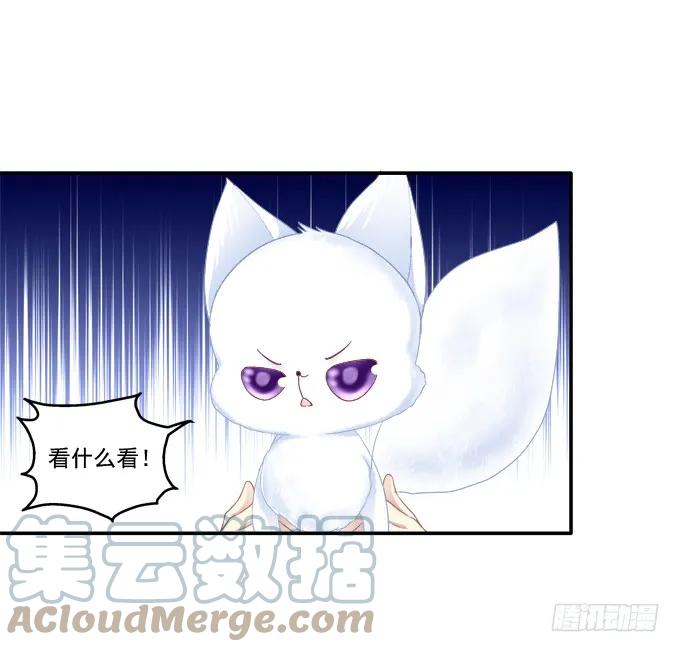 《猫妖的诱惑》争风吃醋 第19页