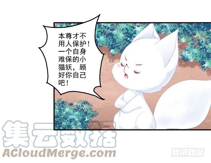 《猫妖的诱惑》争风吃醋 第28页