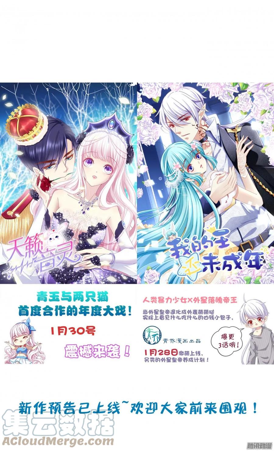 《猫妖的诱惑》针锋相对 2 第4页
