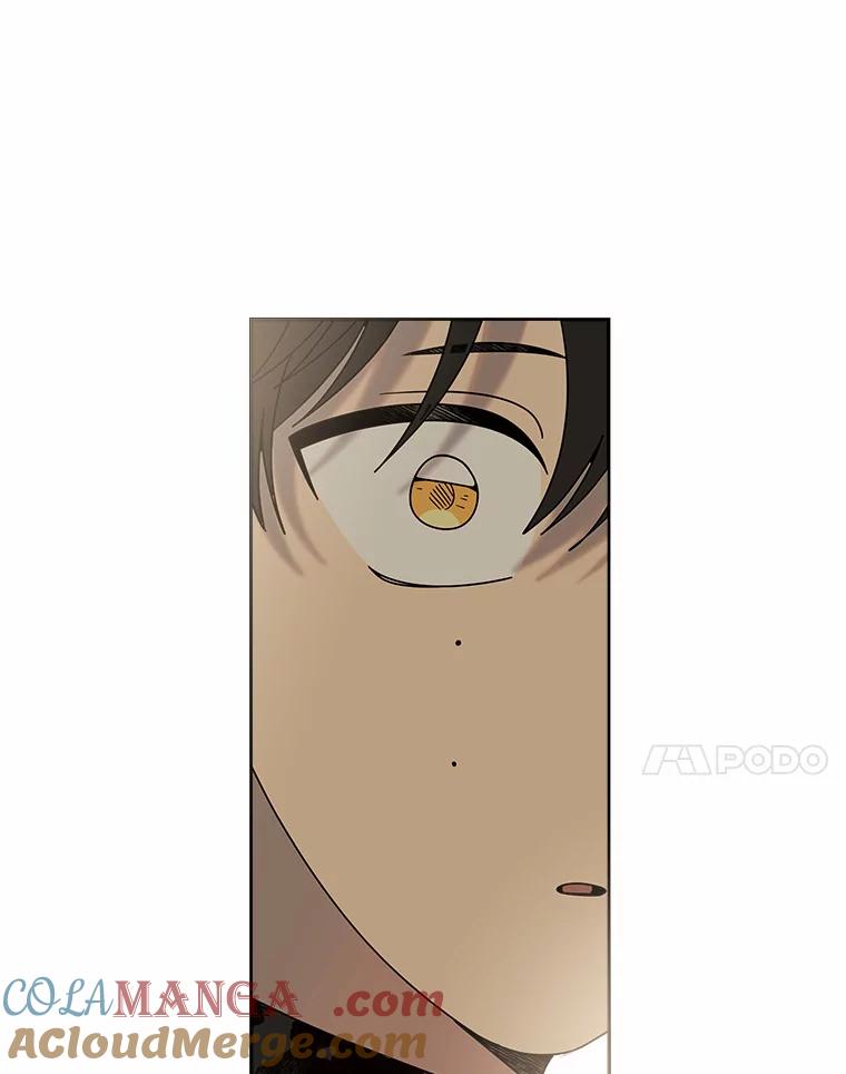 《三个世界》45.善良又温柔的人 第81页