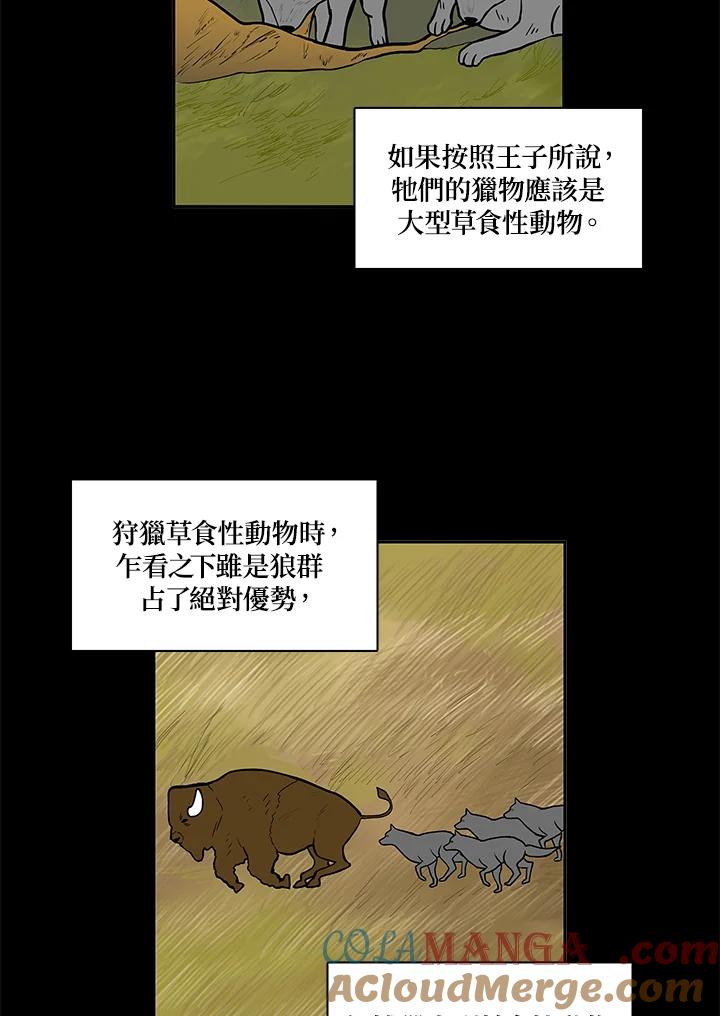 《梅蒂纳》第6话 第13页