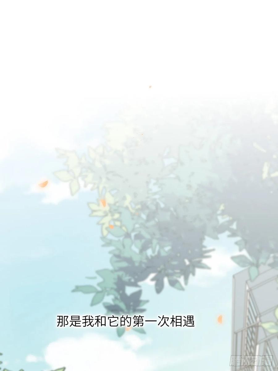 美攻在上 - 第11话：小熊玩具（一） - 第59张图