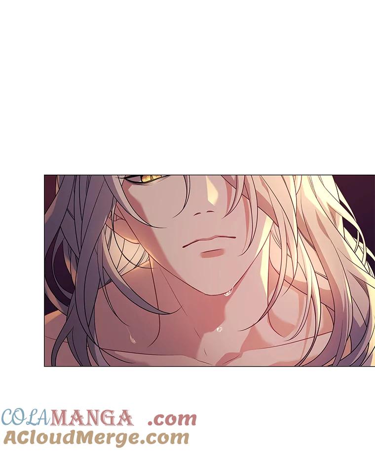 《魅惑狐狸》1.逃不出的魔爪 第81页