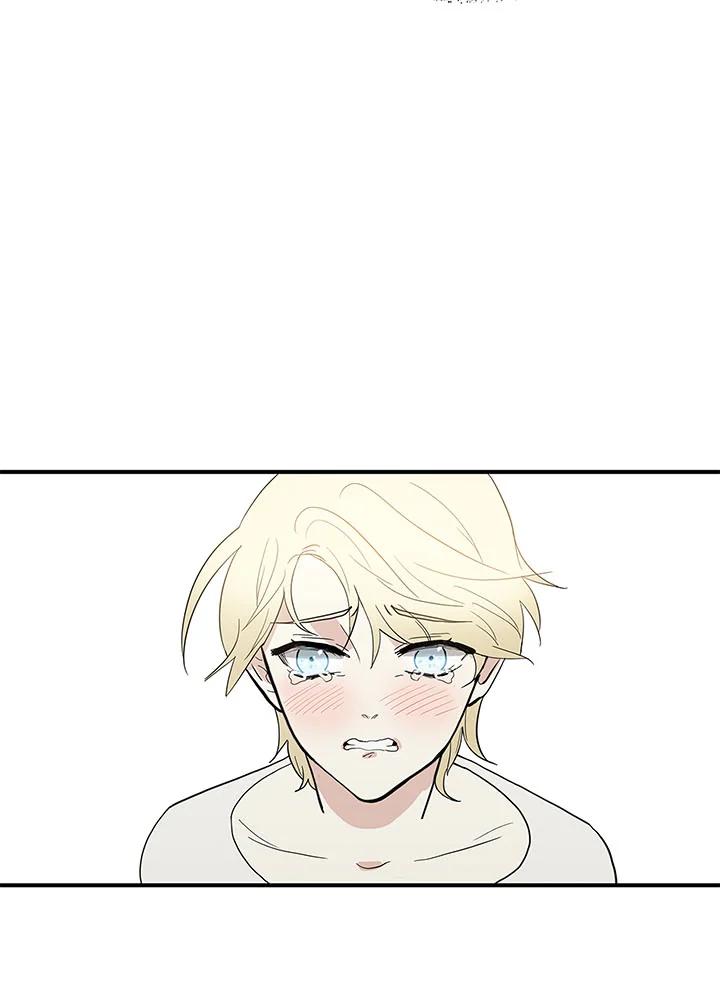 《梅蒂纳》第61话 第40页