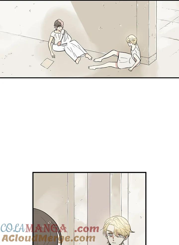 《梅蒂纳》第61话 第37页