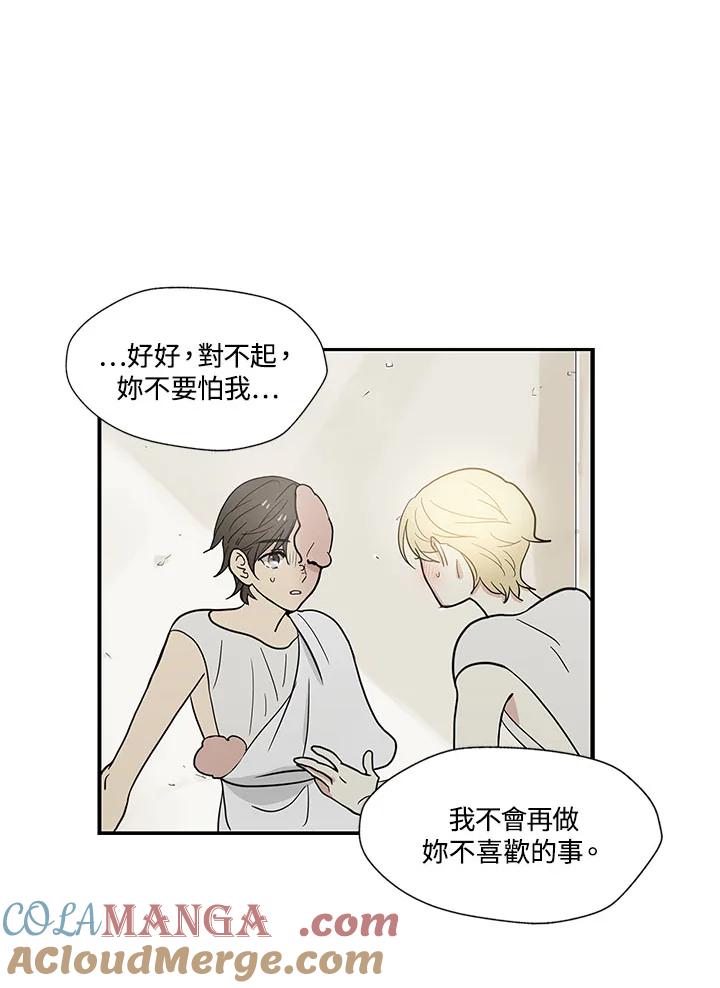 《梅蒂纳》第61话 第41页