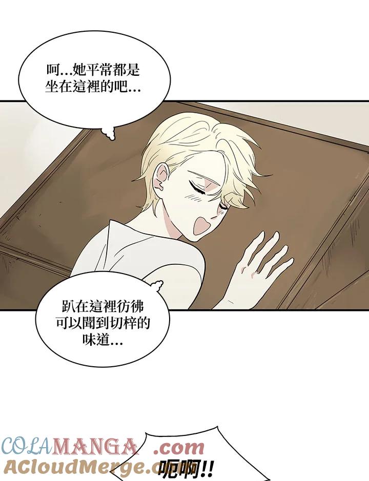 《梅蒂纳》第63话 第27页