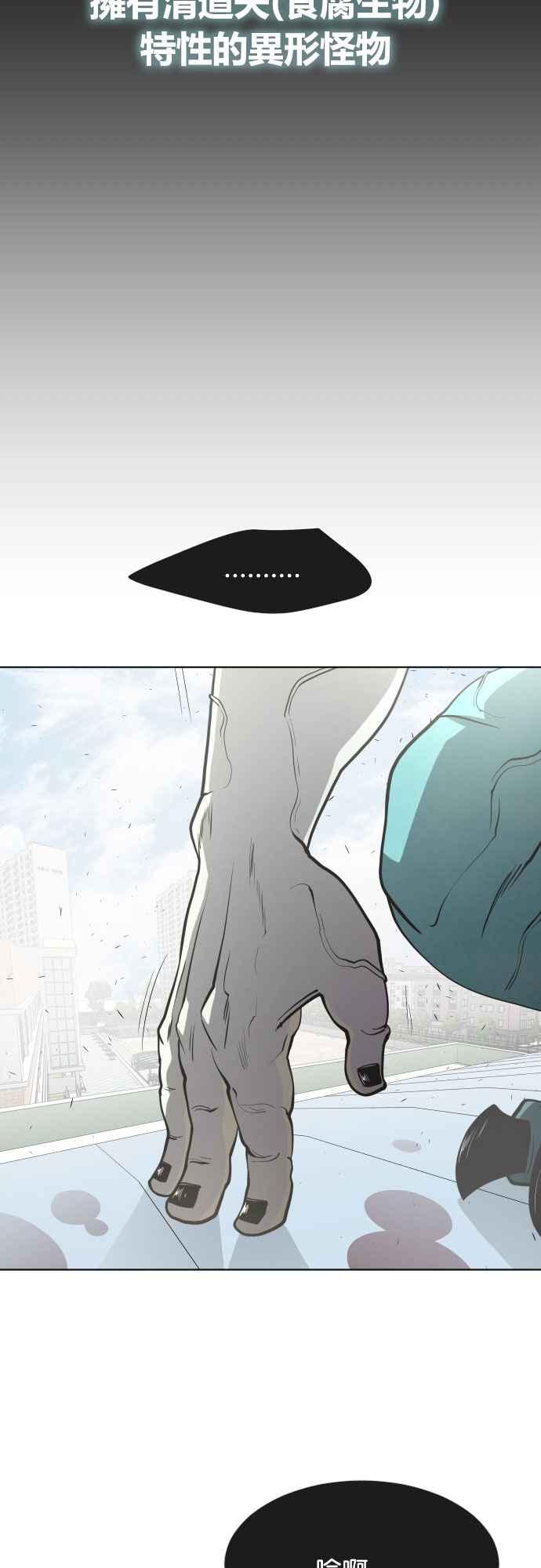 41.jpg