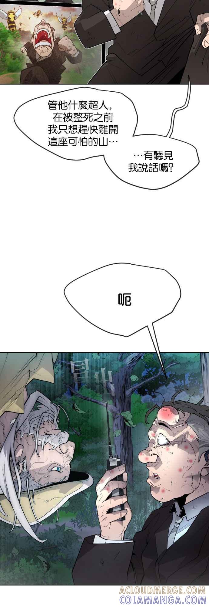 79.jpg
