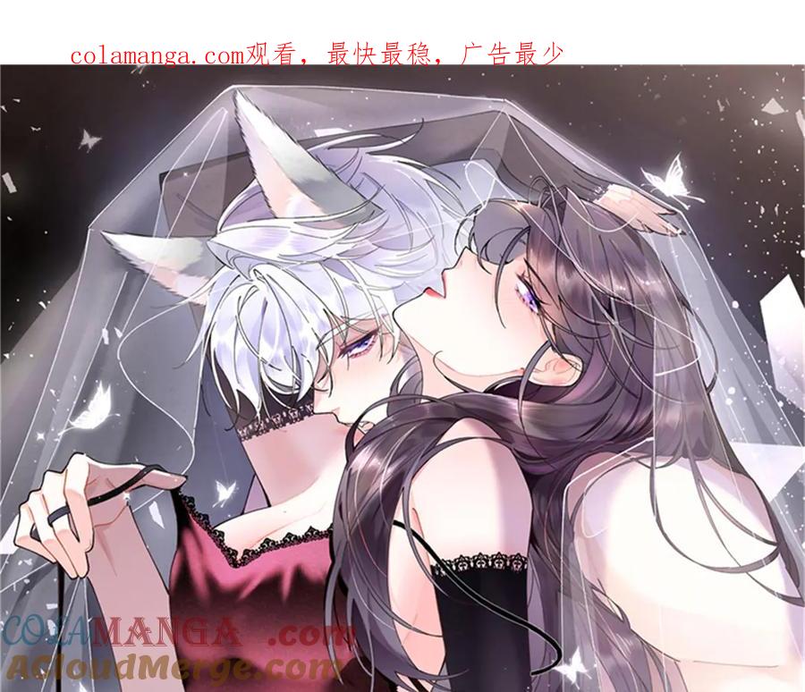 《白天被逃婚晚上被奶凶指挥官求抱抱》39 不离等着合葬么 第1页