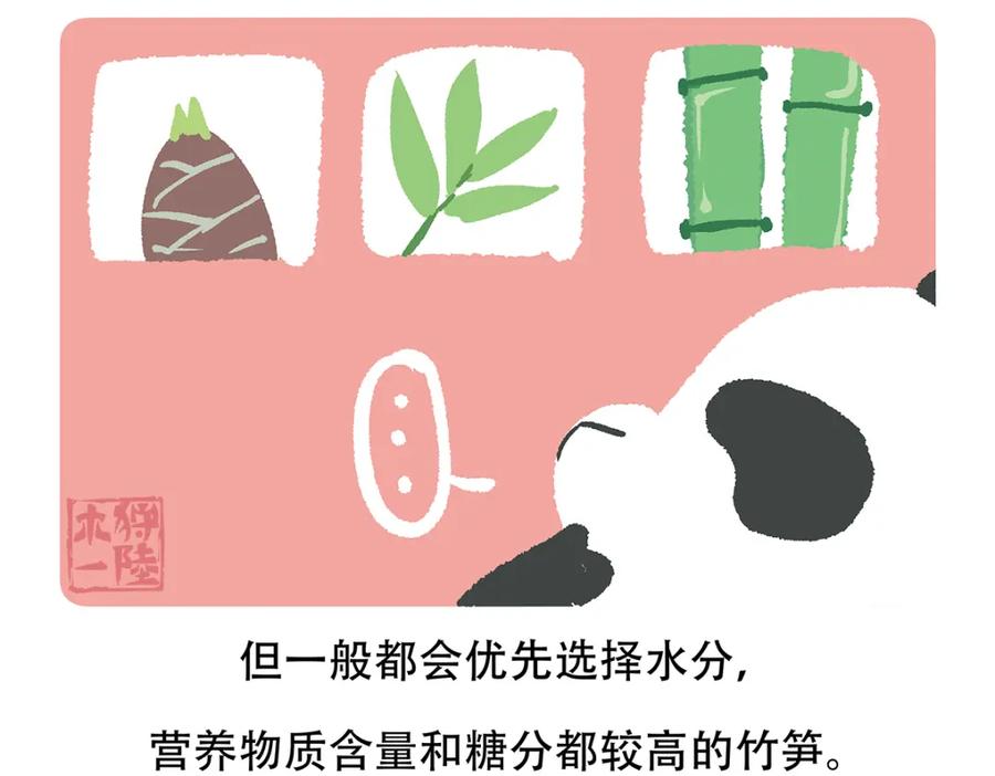 《胖达x胖达》第80话 第32页