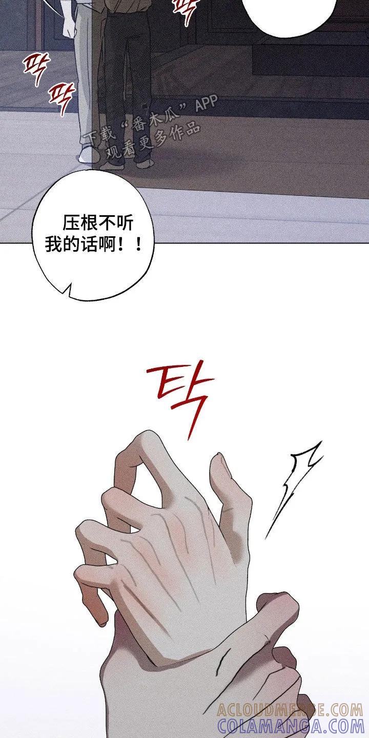 《特写爱意》第63章：【第二季】重新开始吧 第19页
