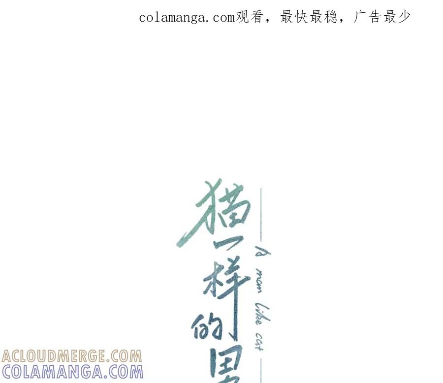 猫一样的男人 第17话 粉丝追逐 第1页