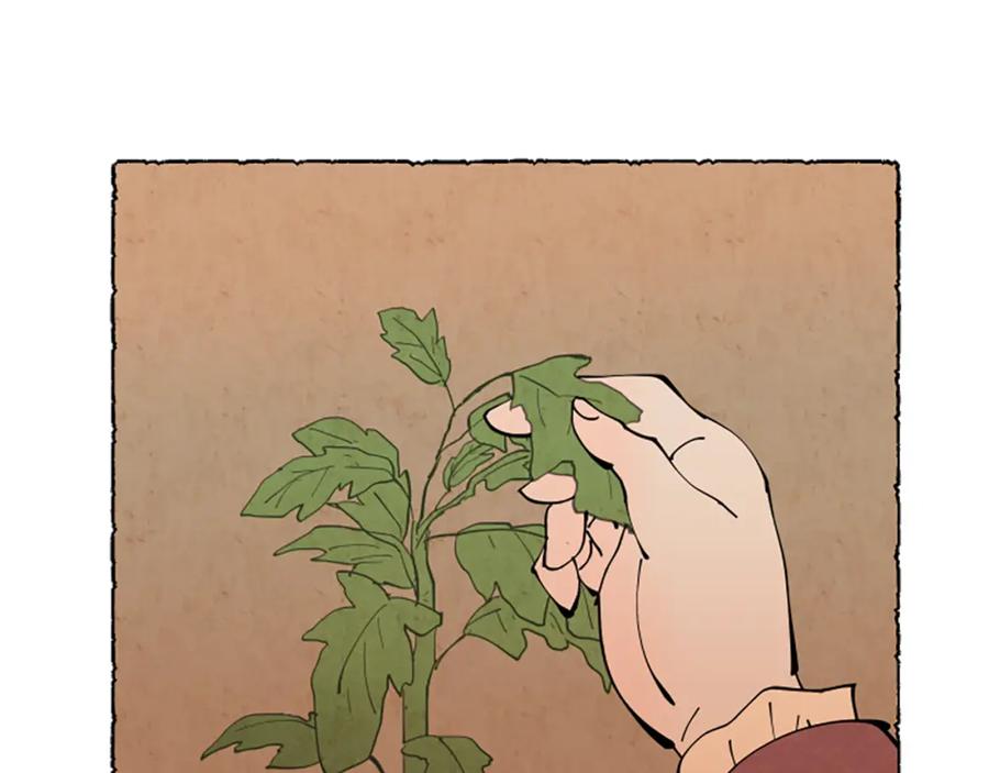 《米娅》第50话 特别的玩偶 第52页