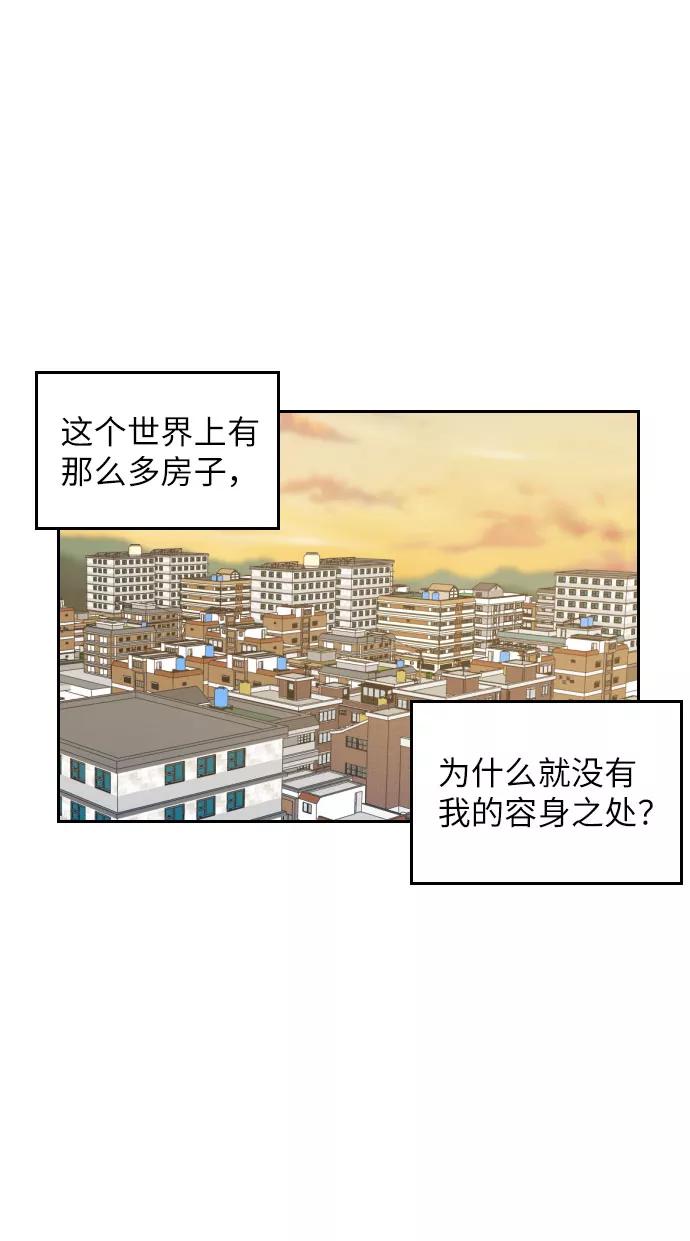《美男图鉴》第13话 第51页
