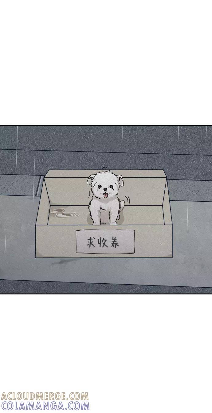 《美男图鉴》第31话 第28页