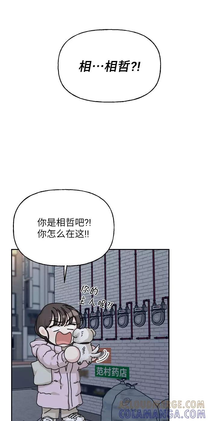 《美男图鉴》第35话 第82页