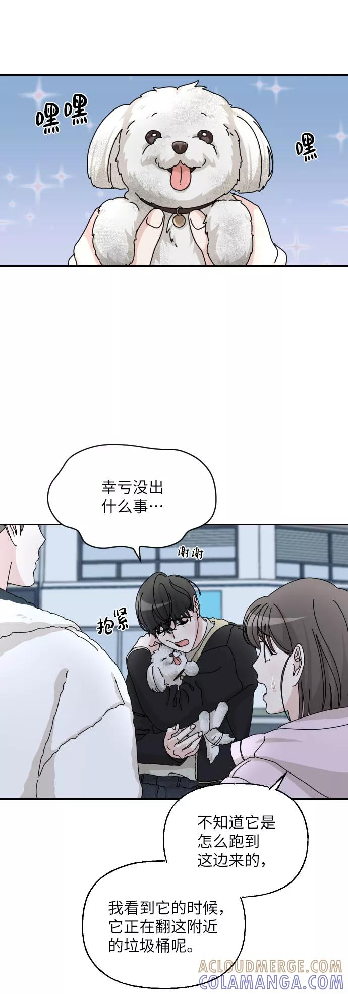 《美男图鉴》第36话 第19页