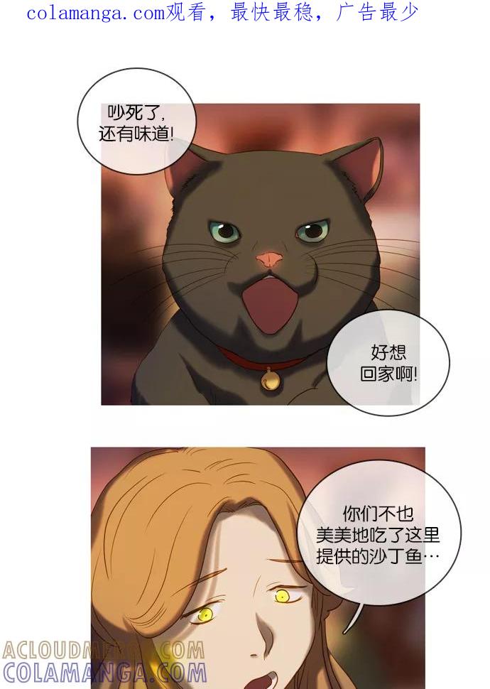 《怦然的魔幻时刻》第44话 第1页