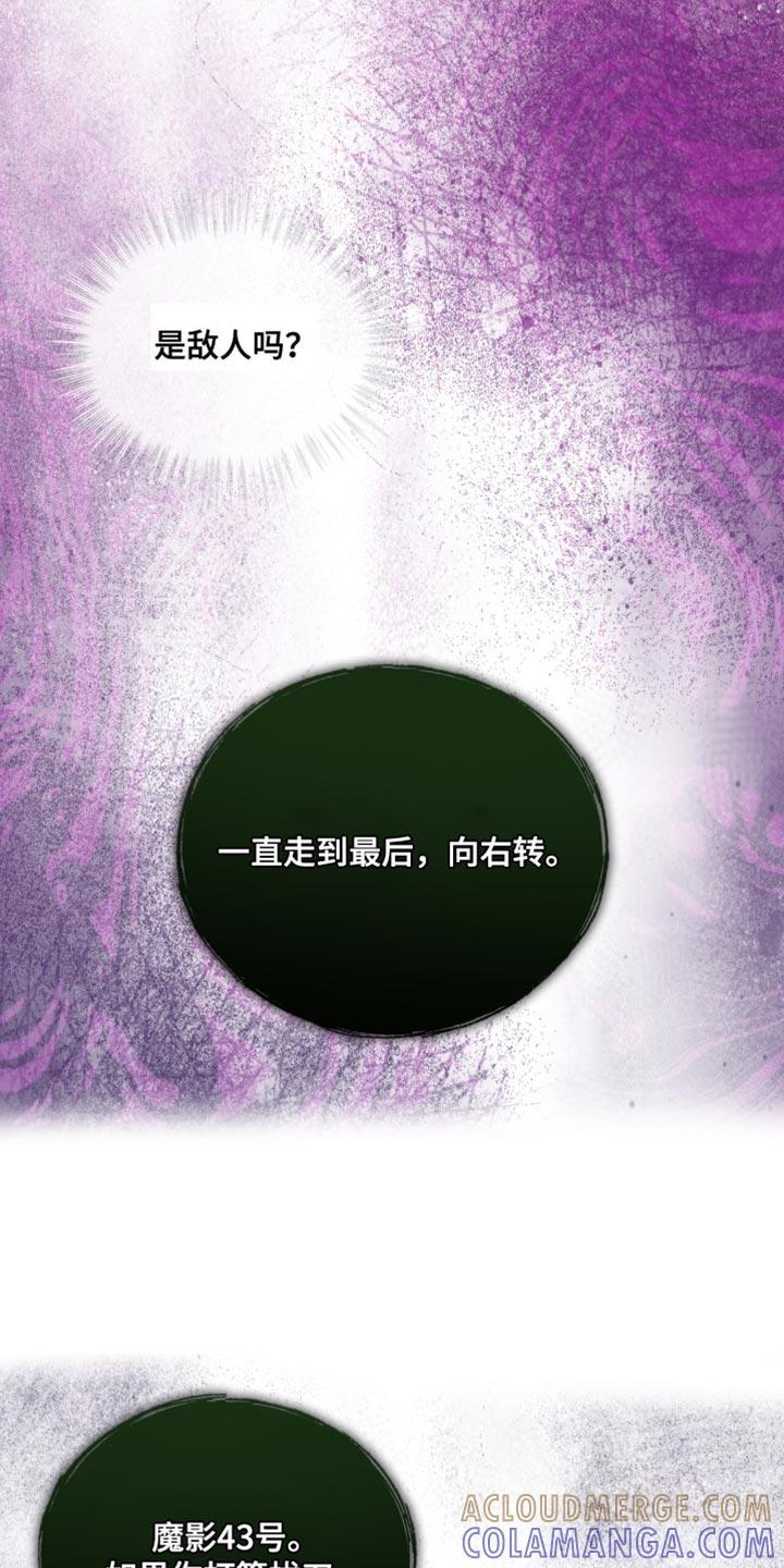 《魔影护卫》第111章：【第二季】忘记了任务 第3页