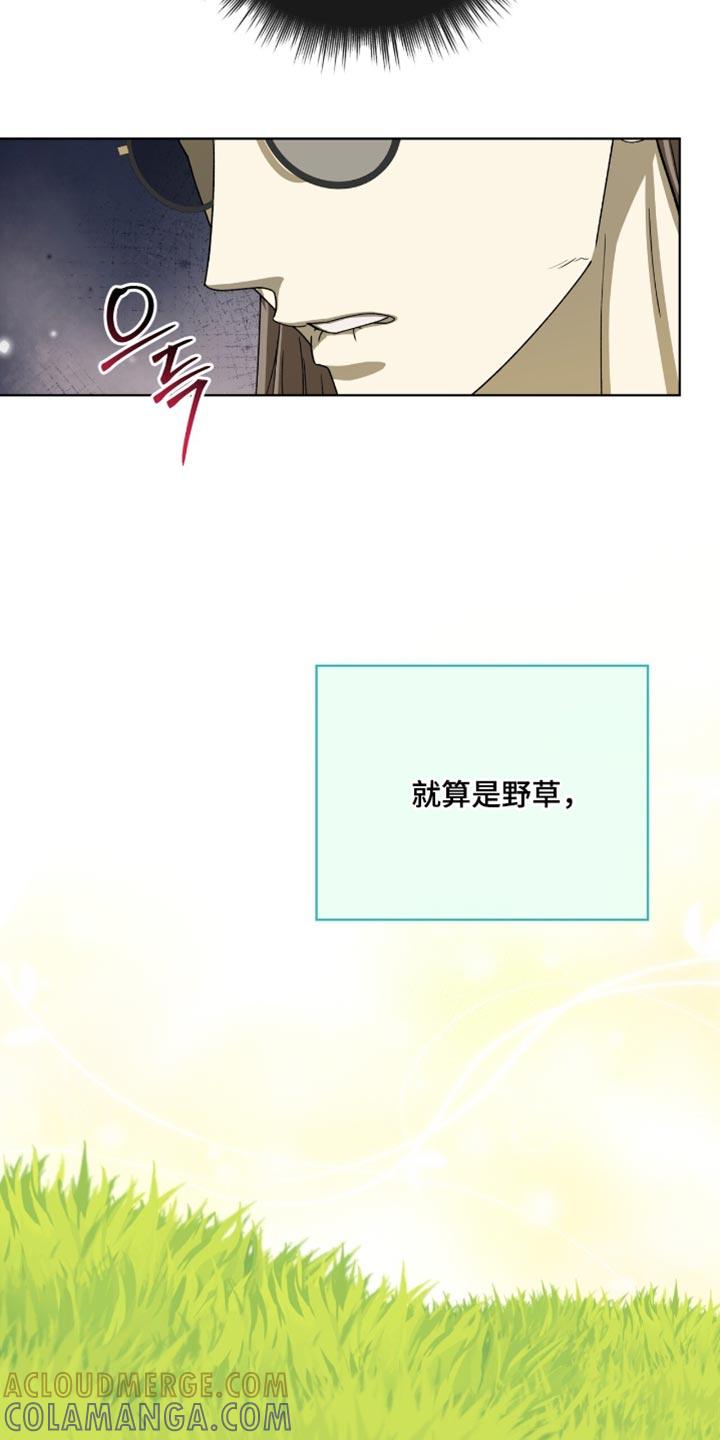 《魔影护卫》第114章：【第二季】奉献自我的花 第29页