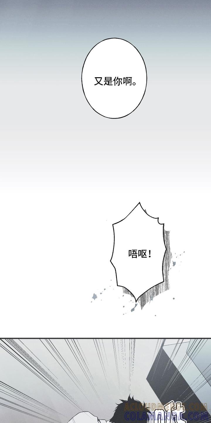 《蛇环凶危》第12章：躁动 第3页
