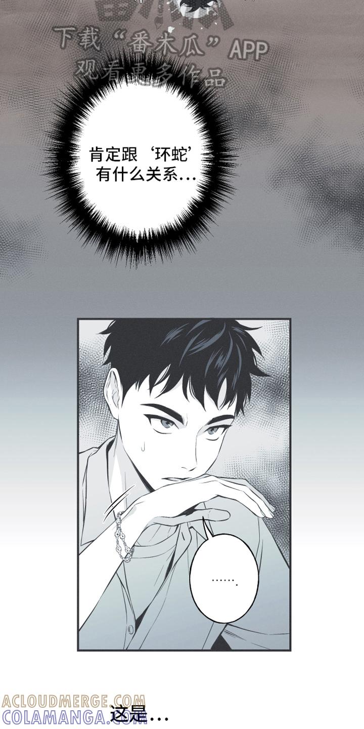 《蛇环凶危》第12章：躁动 第5页