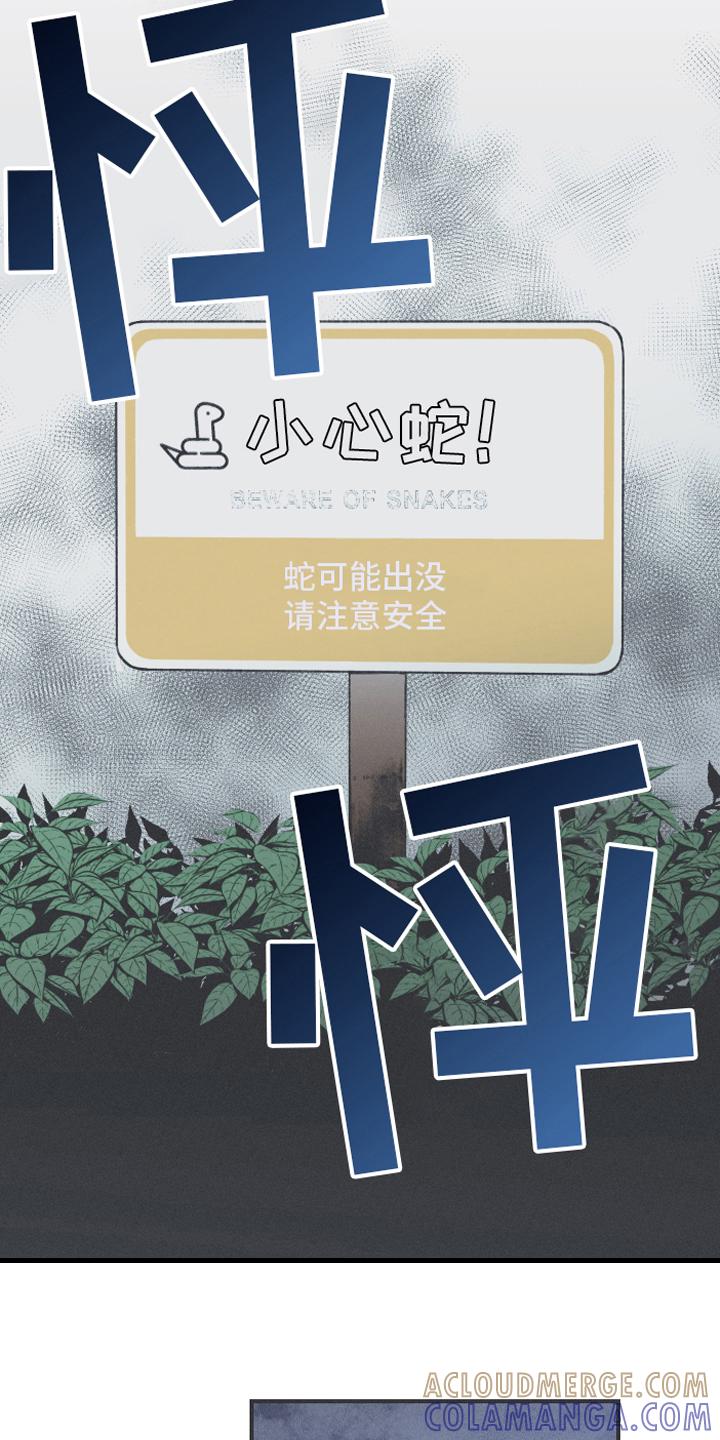 《蛇环凶危》第12章：躁动 第11页