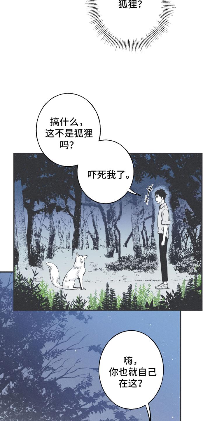 《蛇环凶危》第13章：狐狸 第20页