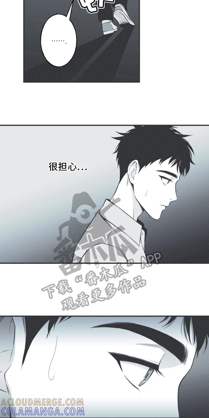 《蛇环凶危》第13章：狐狸 第3页