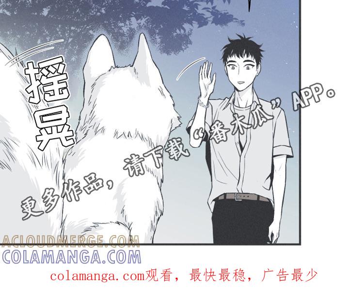 《蛇环凶危》第13章：狐狸 第21页