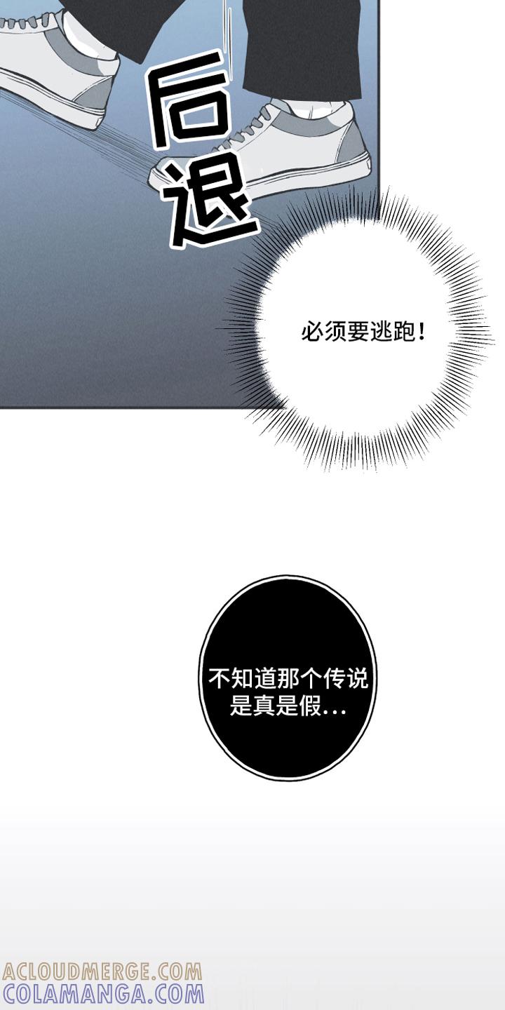 《蛇环凶危》第14章：逃跑 第7页